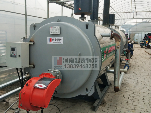 CWNS燃油常压热水锅炉用于大棚保温蕃茄种植
